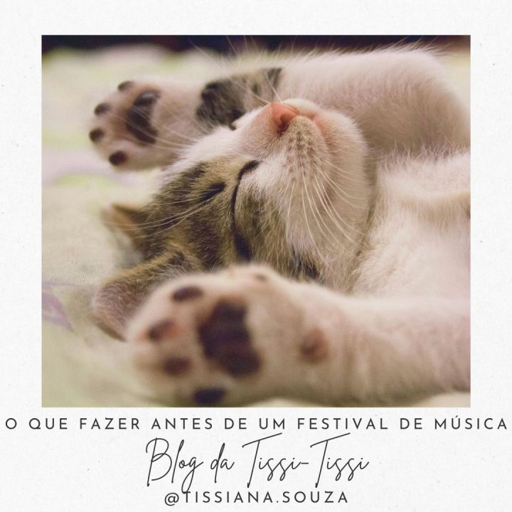 o que fazer antes de um festival de música 4