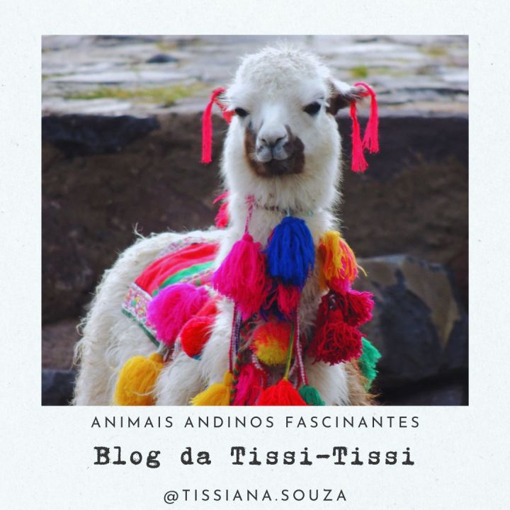 animais_andinos