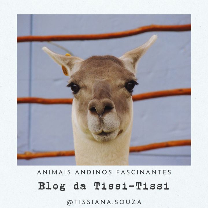 animais_andinos(1)
