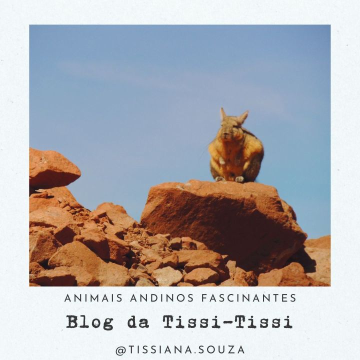 animais_andinos(11)