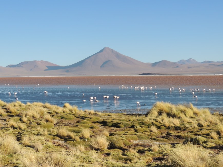Descubra a Bolívia: Guia Completo para a Travessia do Salar de Uyuni