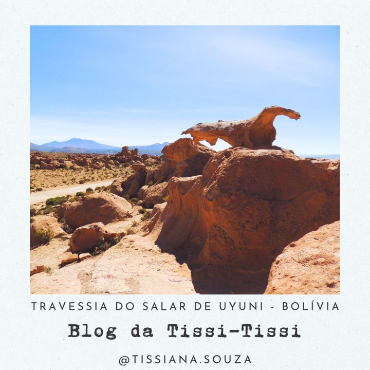 travessia salar de uyuni (8)