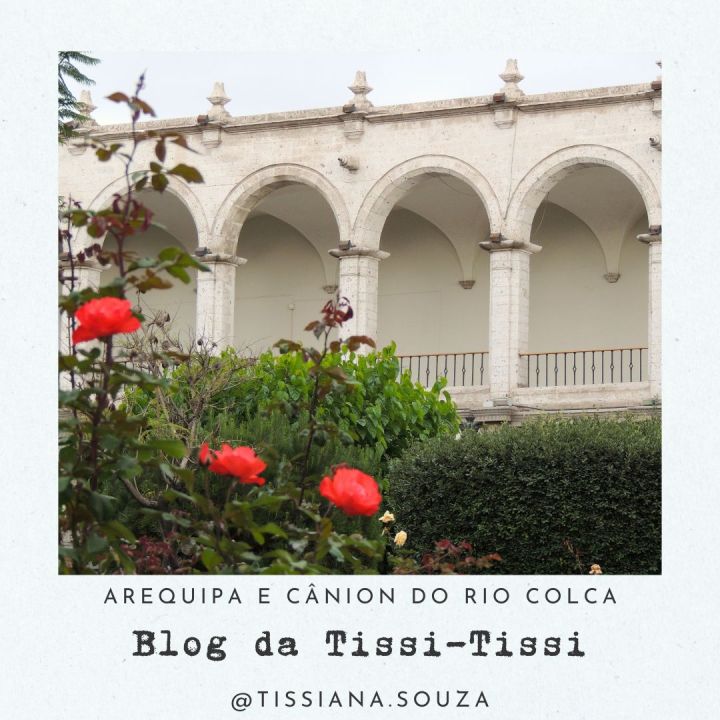 arequipa_e_canion_do_colca (17)