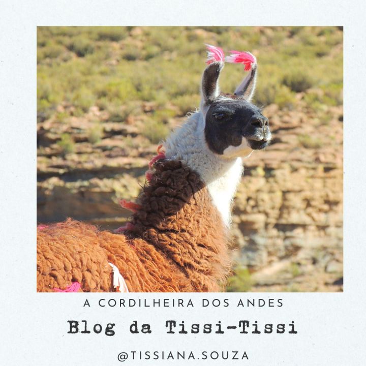 cordilheira dos andes (13)