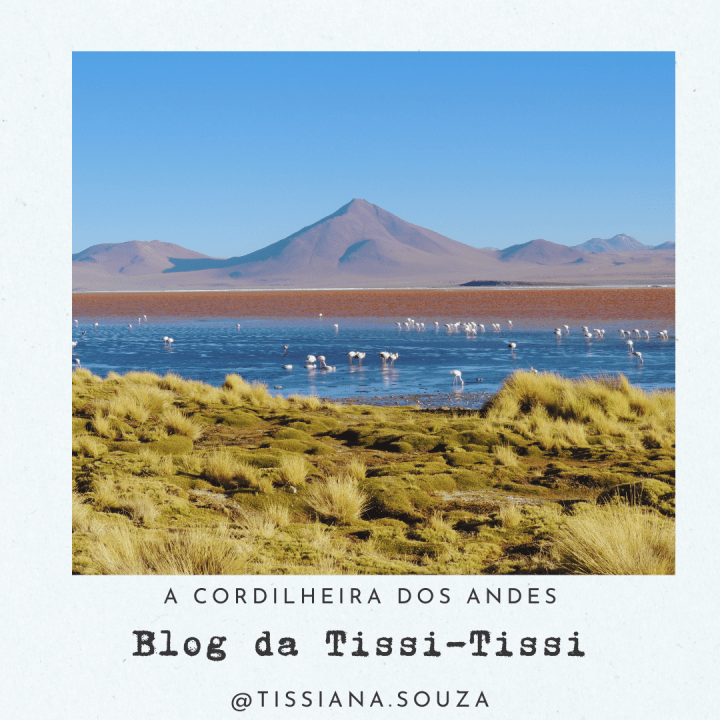 cordilheira dos andes (7)