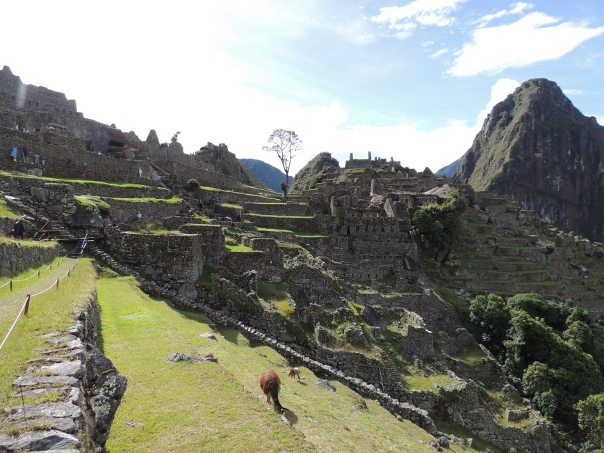 Trilha Inca: o caminho para Machu Picchu