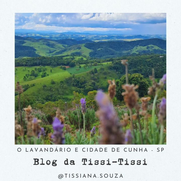 lavandario cunha (1)