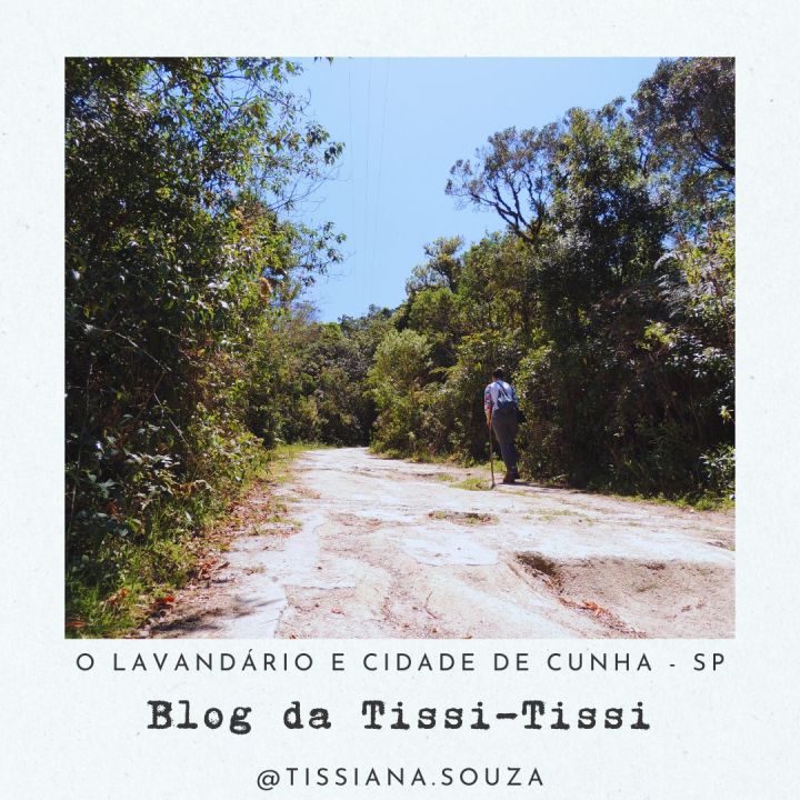 lavandario cunha (14)