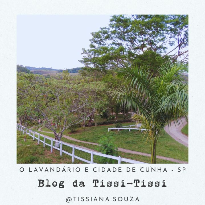 lavandario cunha (17)