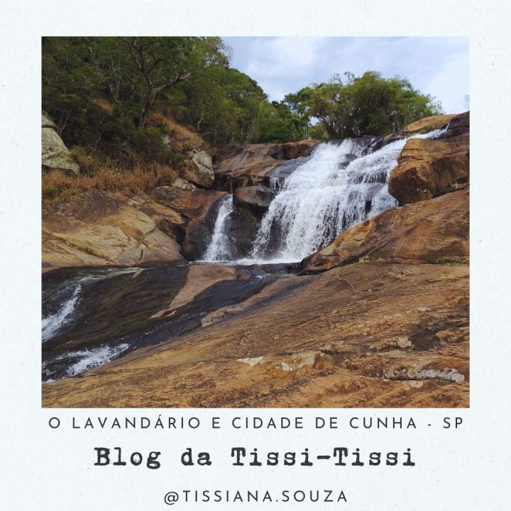 lavandario cunha (18)