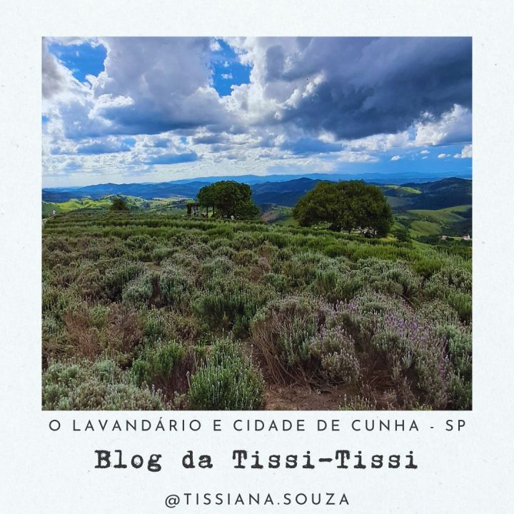 lavandario cunha (3)