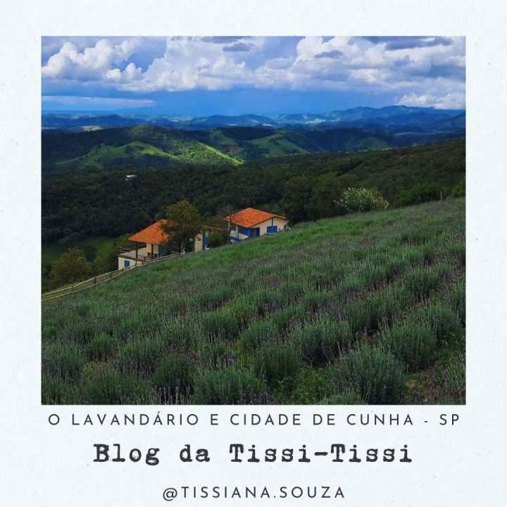 lavandario cunha (6)