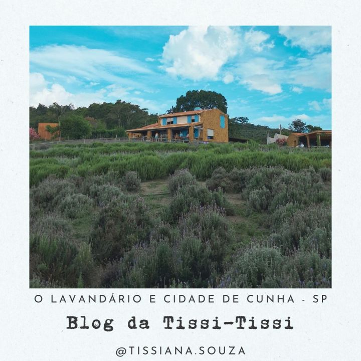 lavandario cunha (7)