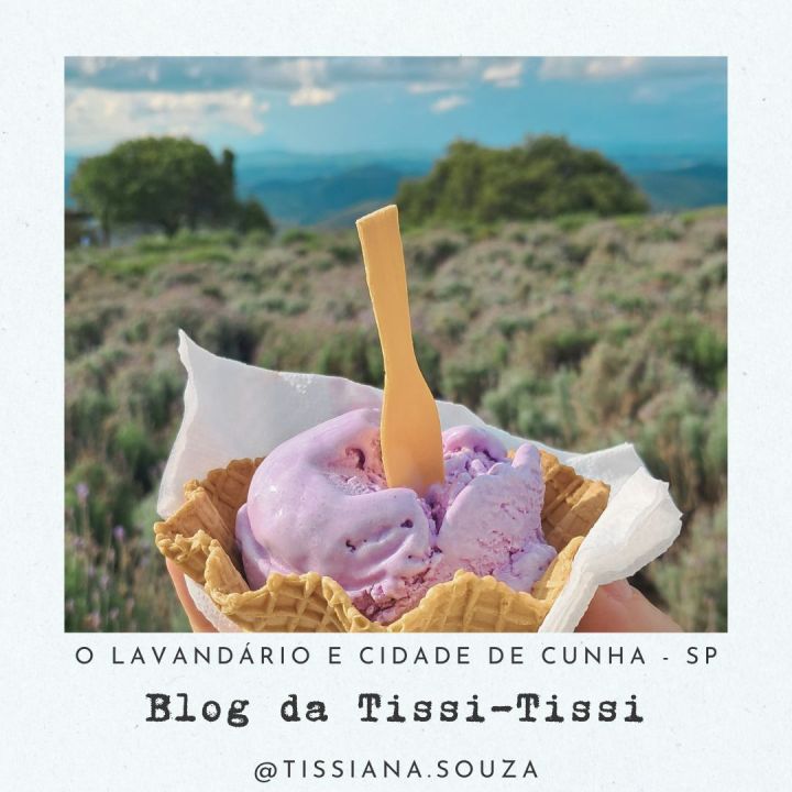 lavandario cunha (8)