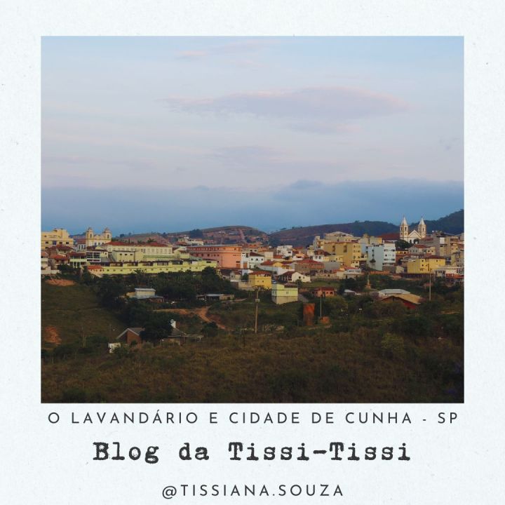 lavandario cunha (9)