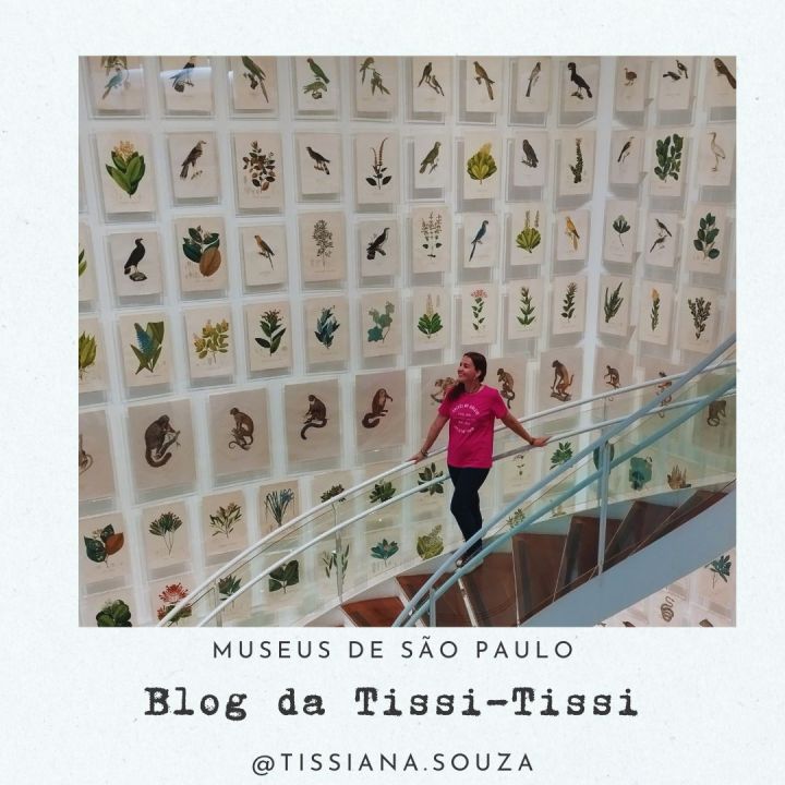museus_são_paulo