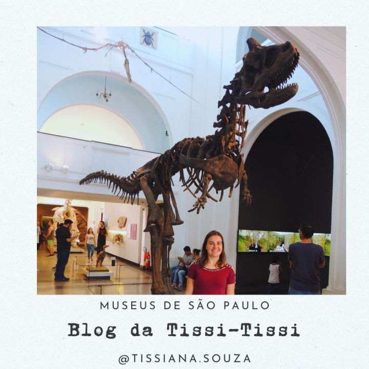 museus_são_paulo_13